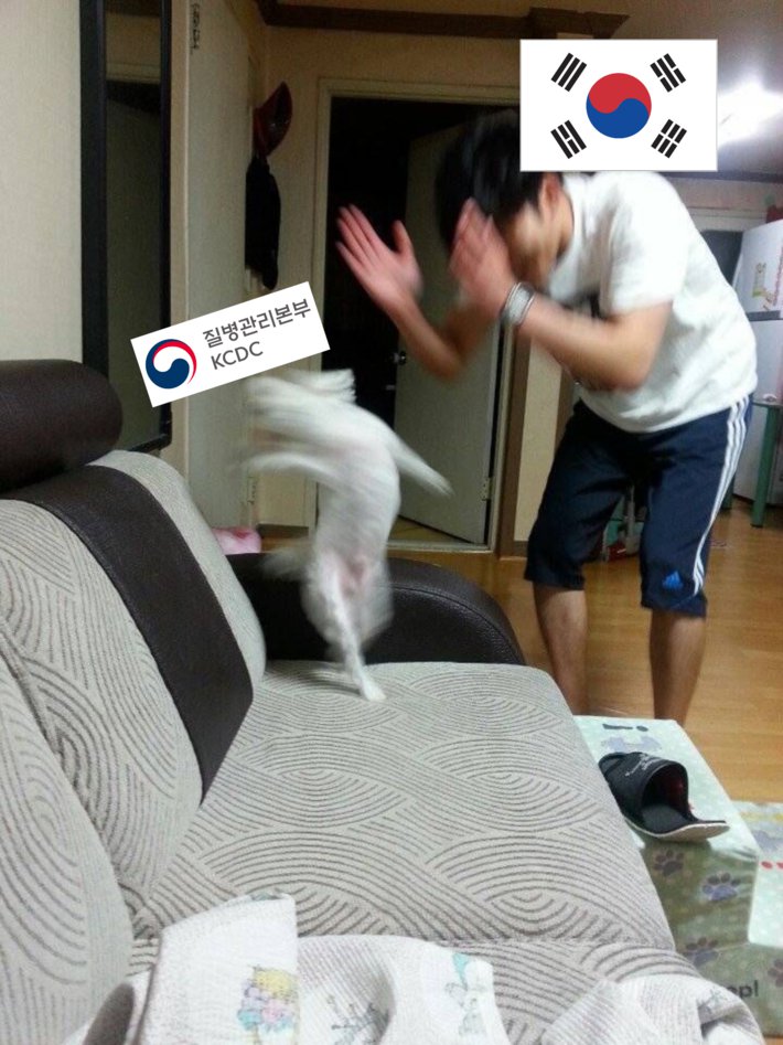 한국인들이 선진국 보는시선 한짤요약2