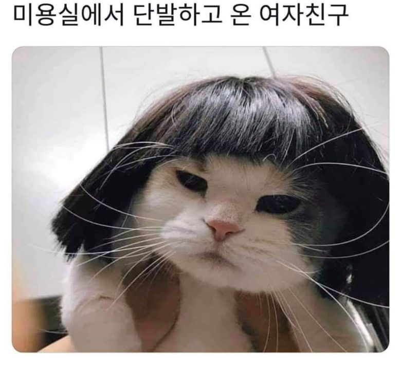 오빠 나 뭐 달라진거 없어?.jpg1