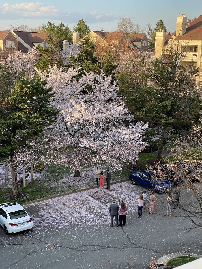 코로나19 시대 웨딩 사진1