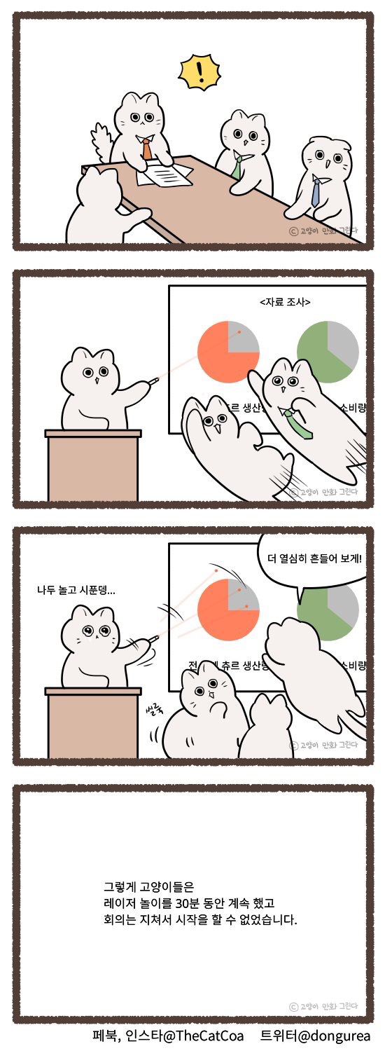 고양이들 회의시간.jpg2