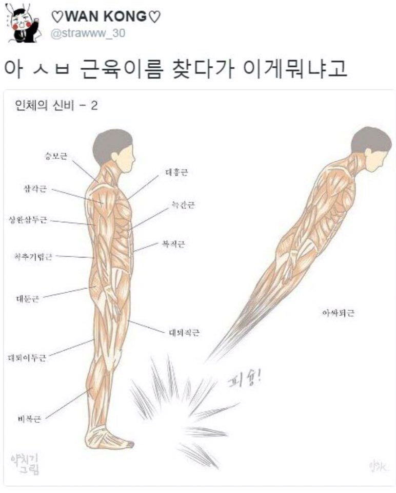 펌)근육이름 찾아보다 나온 이미지.jpg1