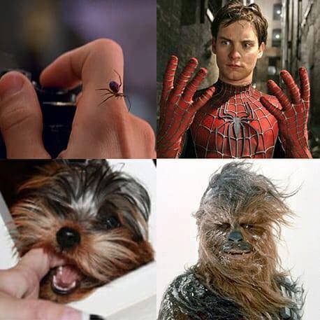 영웅의 탄생 비화1