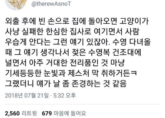 고양이에게 존경을 받는 방법 jpg1