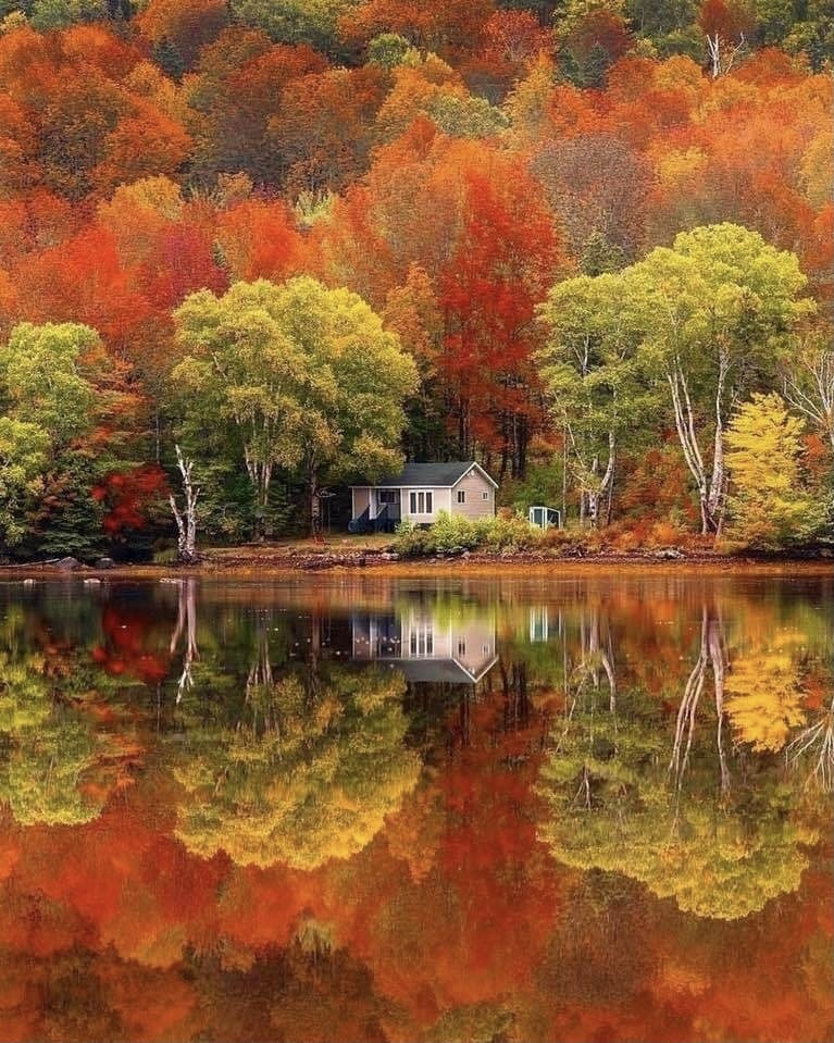 단풍에 둘러쌓인 전원주택.jpg1