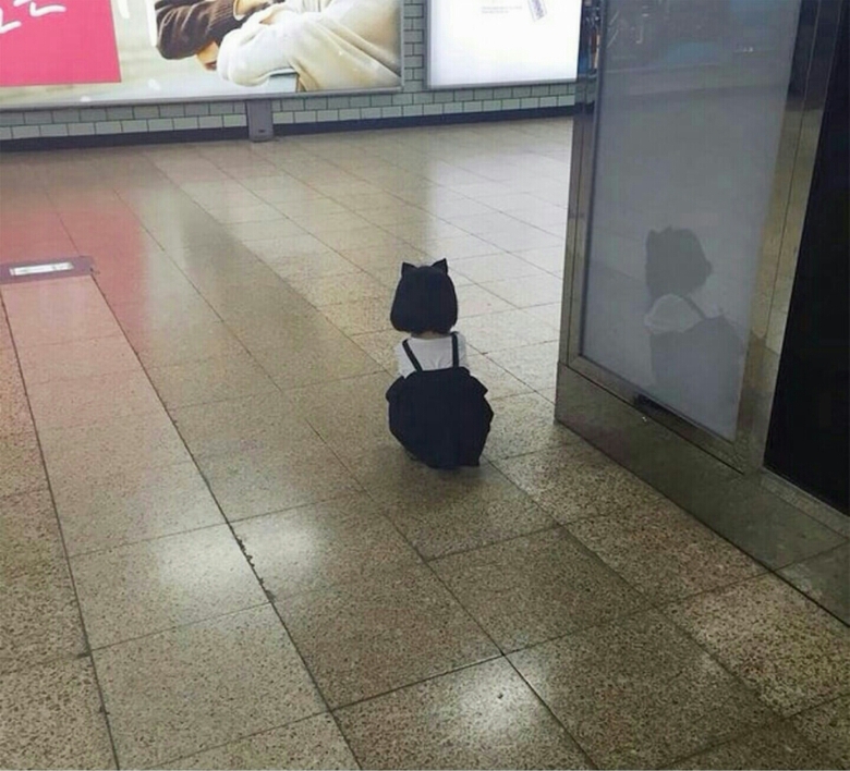 귀여움 만랩 찍은 유명한 사진들2