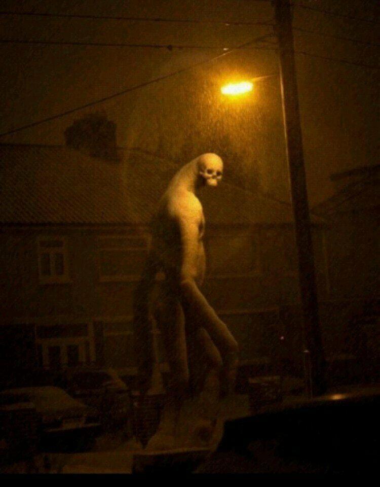 해외 눈死람 퀄리티.jpg3