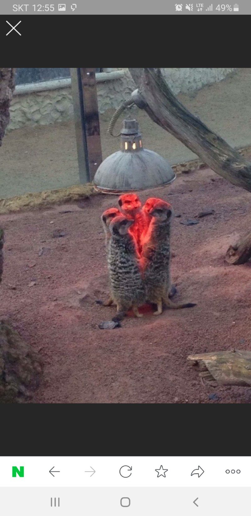 요즘이었으면 큰일나는 사진1