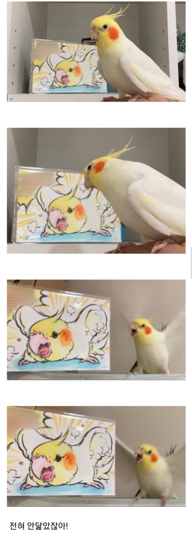 초상화가 전혀 안닮았잖아!!1