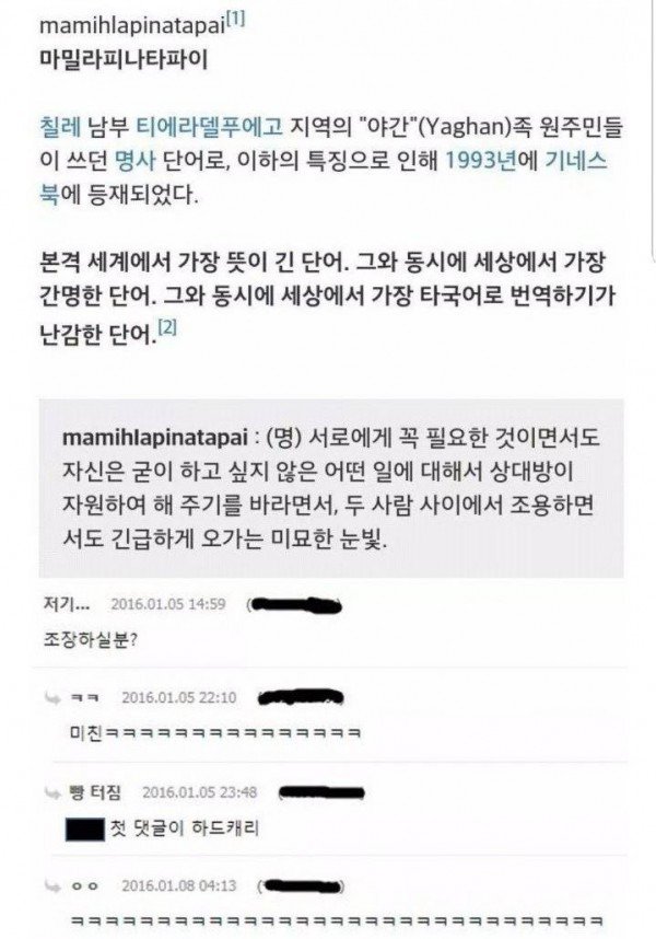 세계에서 가장 뜻이 긴 단어1