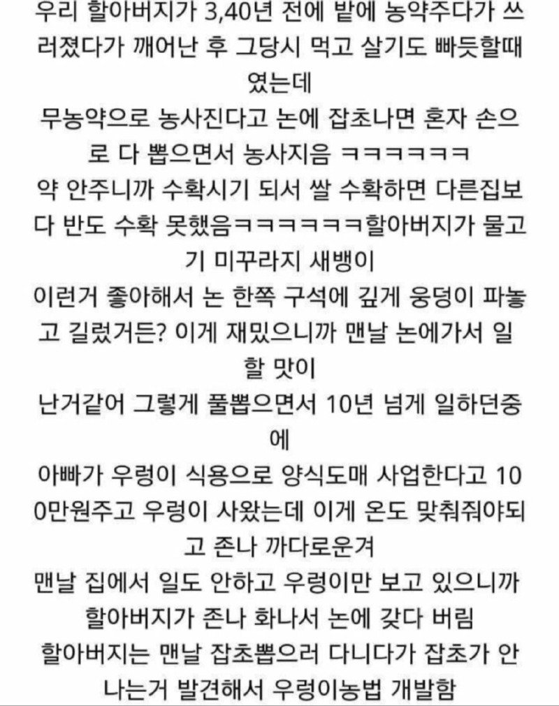 우렁이 농법의 시초1