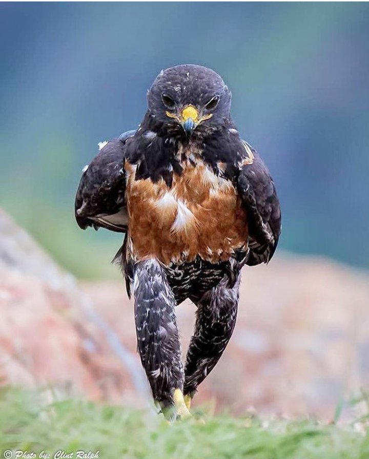 초6 조카의 딜량1