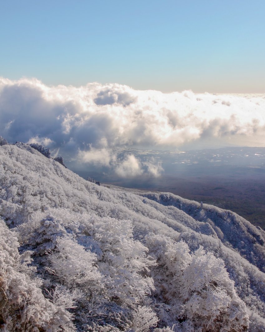 전형적인 k풍경은 이거 아니야...??5