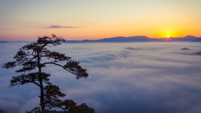 전형적인 k풍경은 이거 아니야...??6