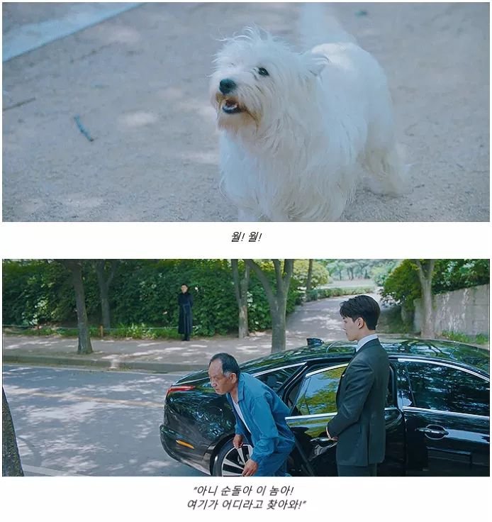 (펌/스압) 넘나 슬픈 에피소드 우럿다22