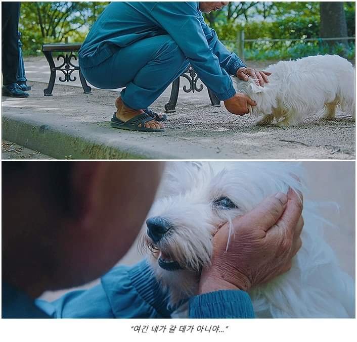 (펌/스압) 넘나 슬픈 에피소드 우럿다23