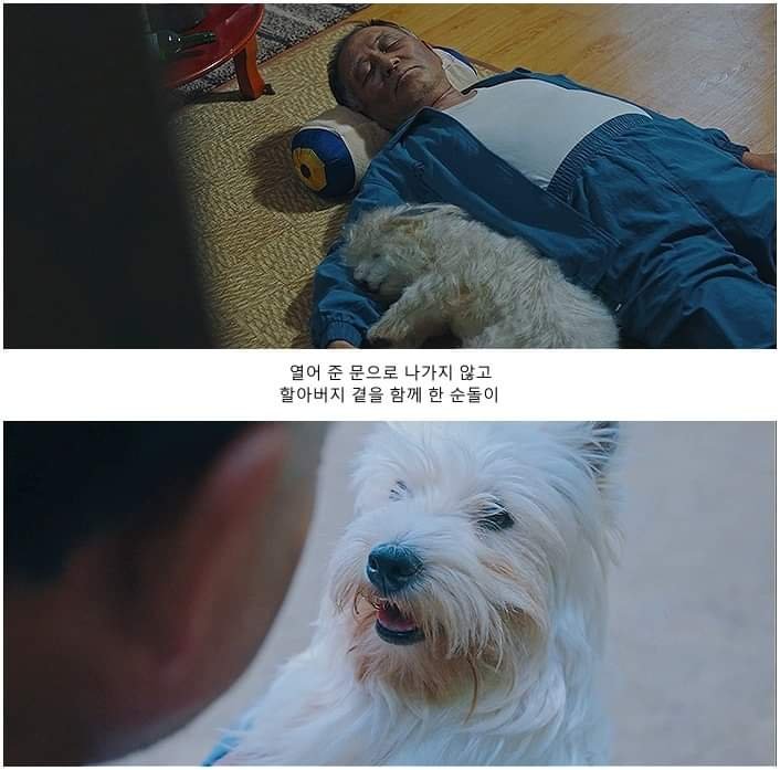 (펌/스압) 넘나 슬픈 에피소드 우럿다26