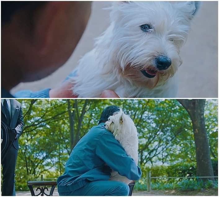 (펌/스압) 넘나 슬픈 에피소드 우럿다27