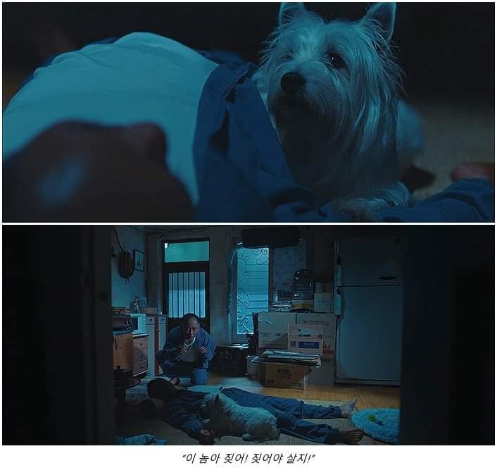 (펌/스압) 넘나 슬픈 에피소드 우럿다6