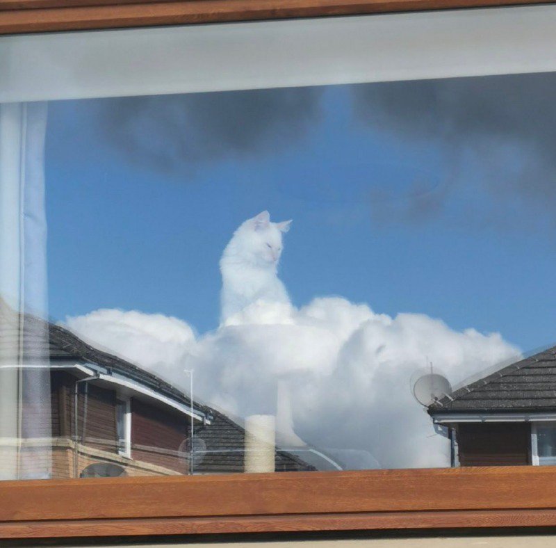 미련한 인간이여, 네 어찌 고민하느냐?1