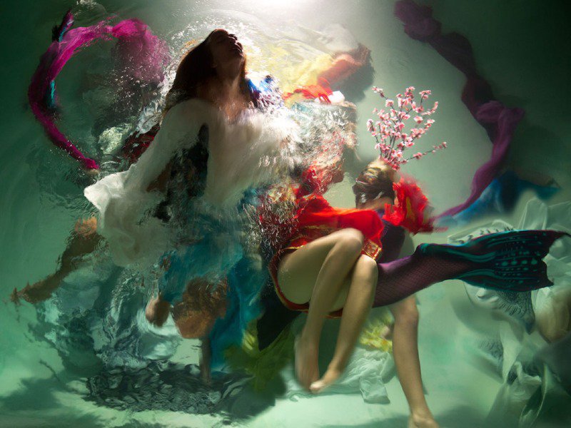 음청나게 믓진 수중 사진들 - 그림아님10