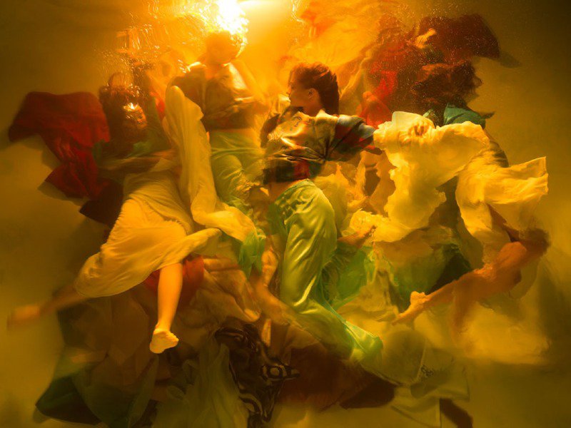 음청나게 믓진 수중 사진들 - 그림아님7