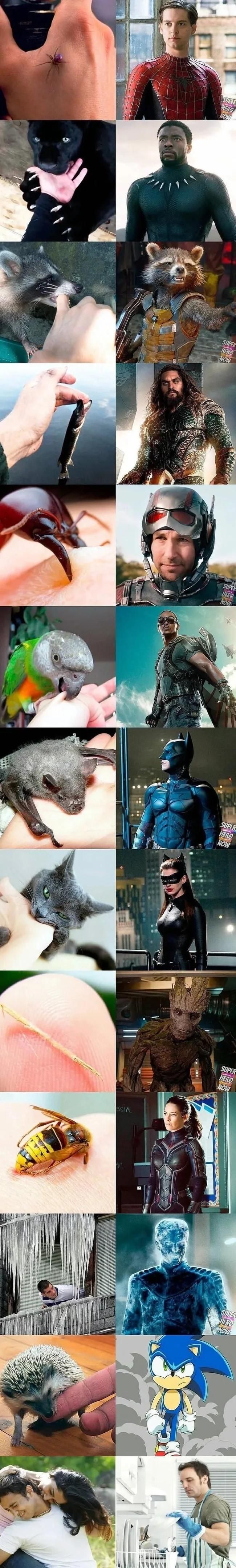 물리면 이렇게 바뀝니다.jyp1