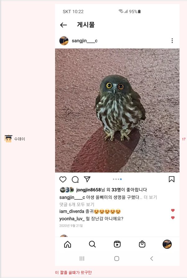 올빼미를 구조해주자 보이는 반응4