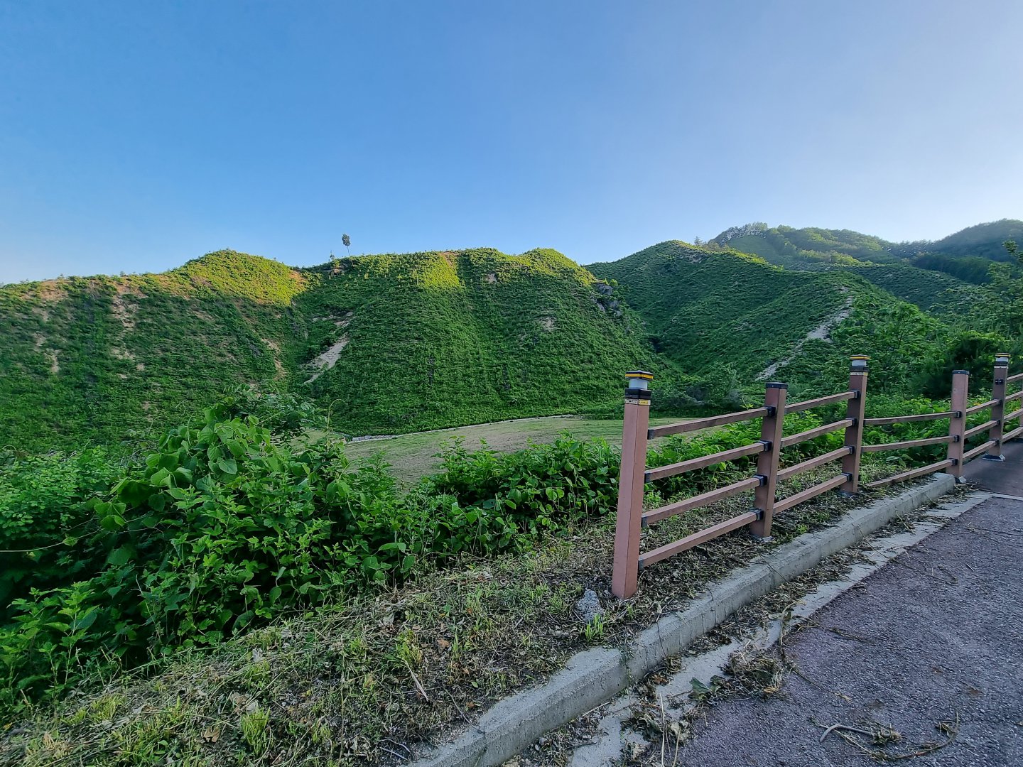 사진한장 찍겠다고 노오오오력 하는 애비1