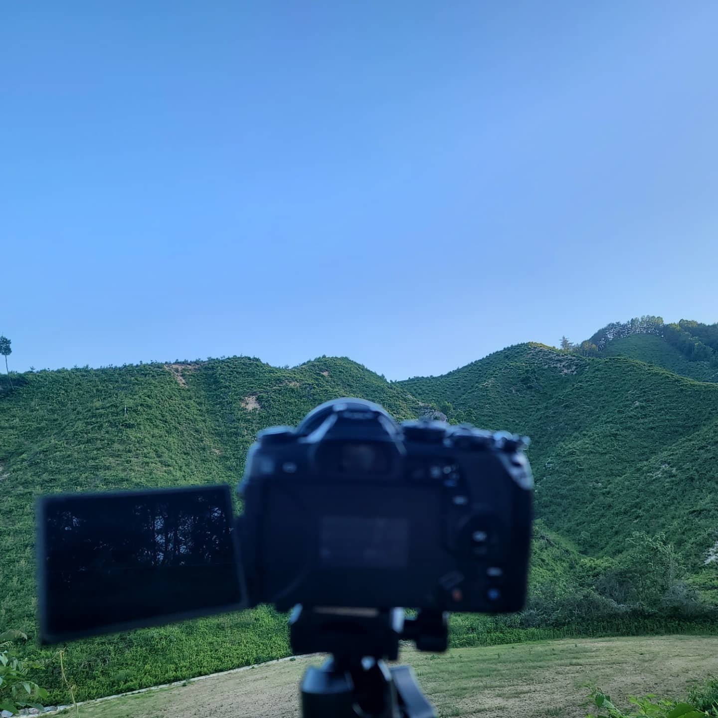 사진한장 찍겠다고 노오오오력 하는 애비2