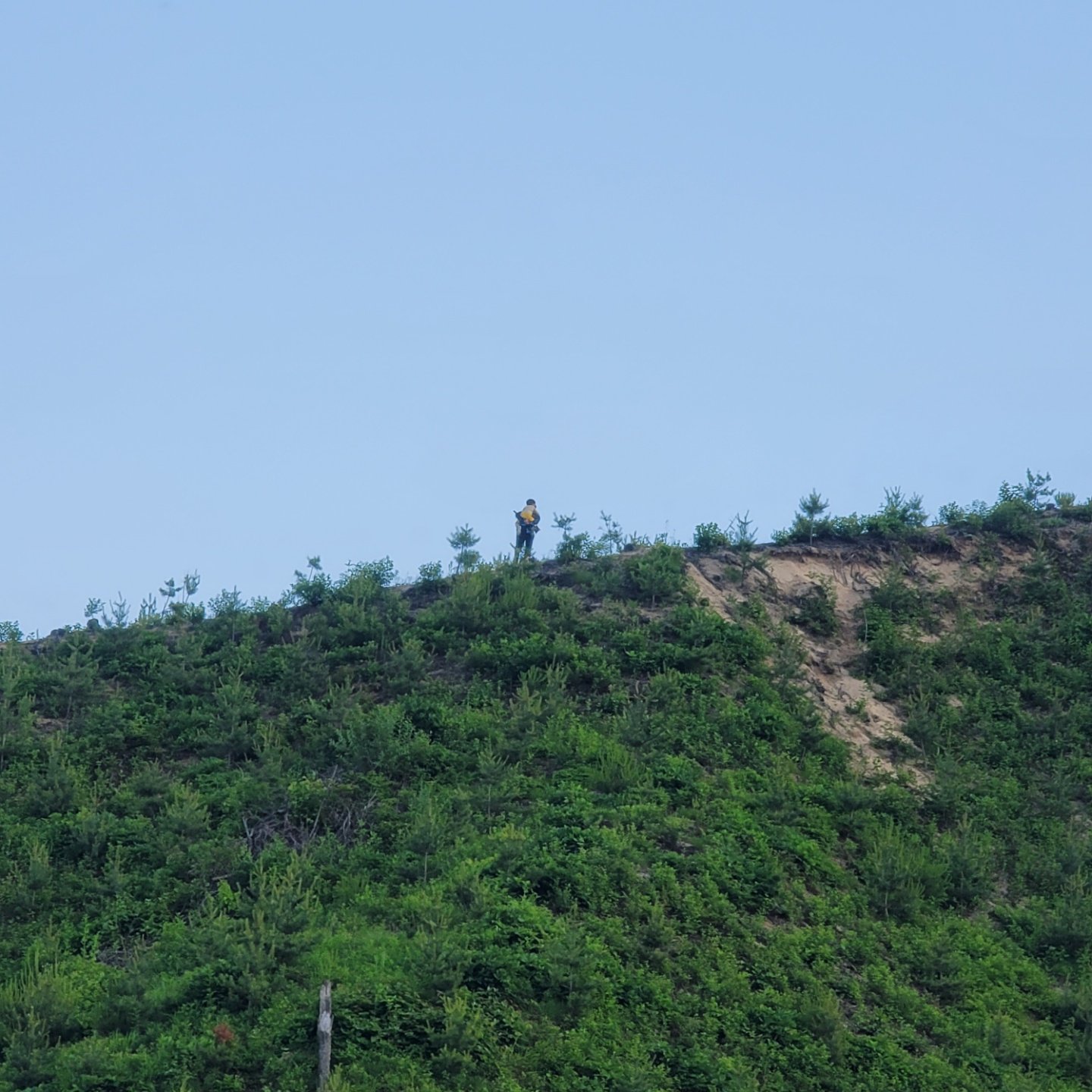 사진한장 찍겠다고 노오오오력 하는 애비3