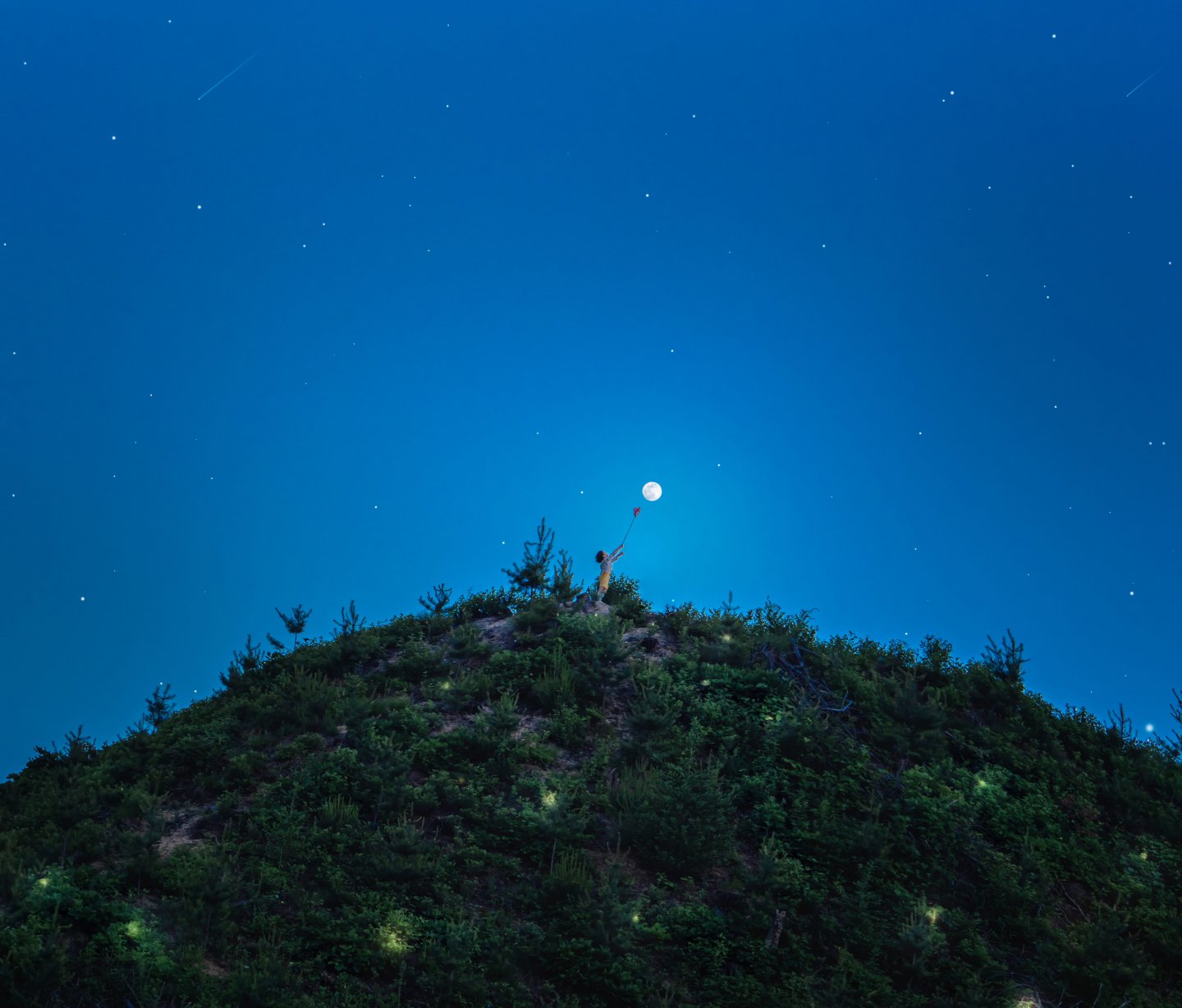 사진한장 찍겠다고 노오오오력 하는 애비5