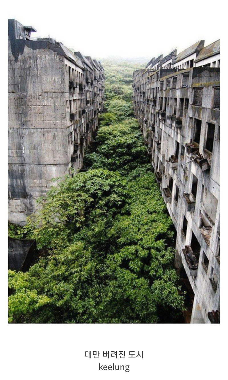 세계의 아름답고 신비한 폐허.jpg12