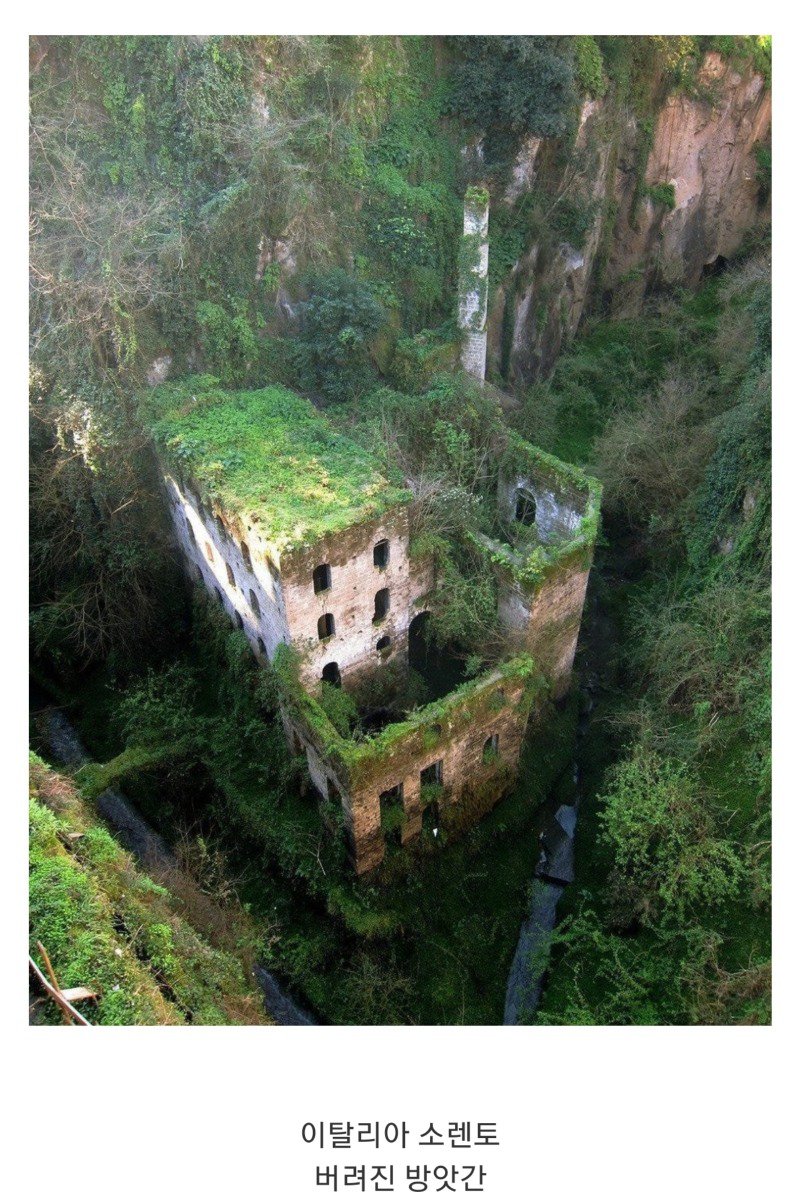 세계의 아름답고 신비한 폐허.jpg9