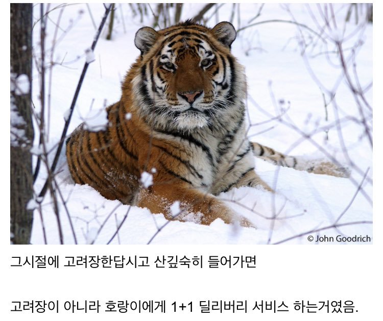 고려장이 실제로 존재하지 않는 확실한 이유1