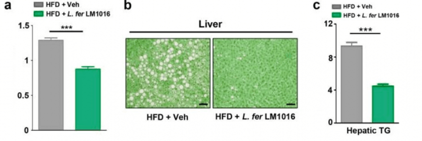 코넬대학에서 밝혀낸 만성피로 원인5
