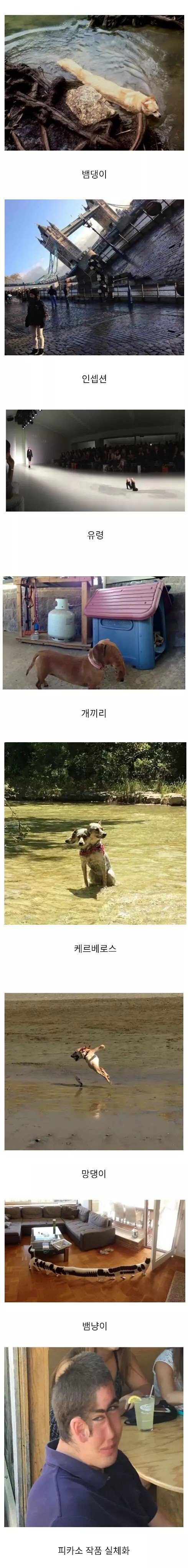 망한 파노라마 사진 대회1