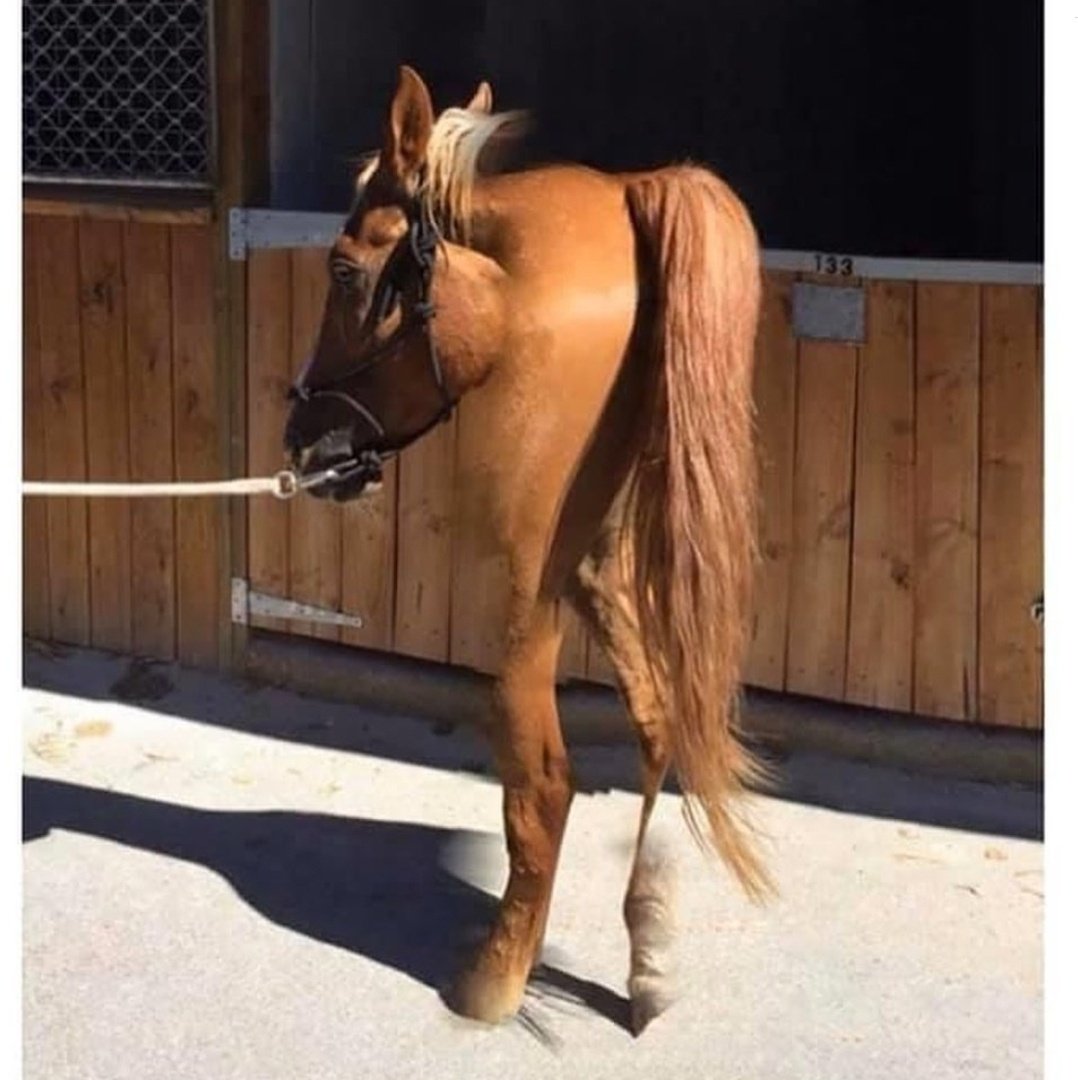 망한 파노라마 사진 대회2