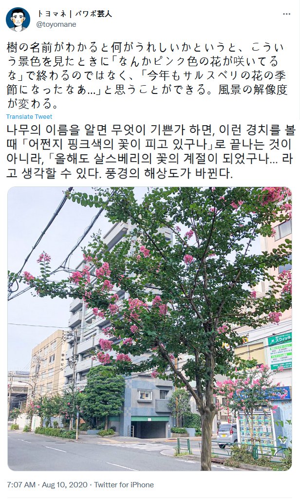 공부란 세상의 해상도를 높이는 것3