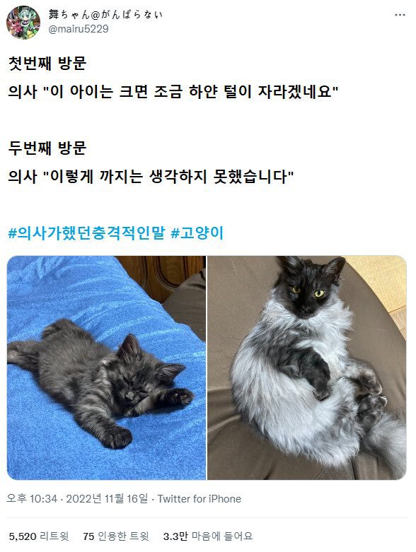 의사가 했던 충격적인 말 (일본 트위터 해석 모음)3