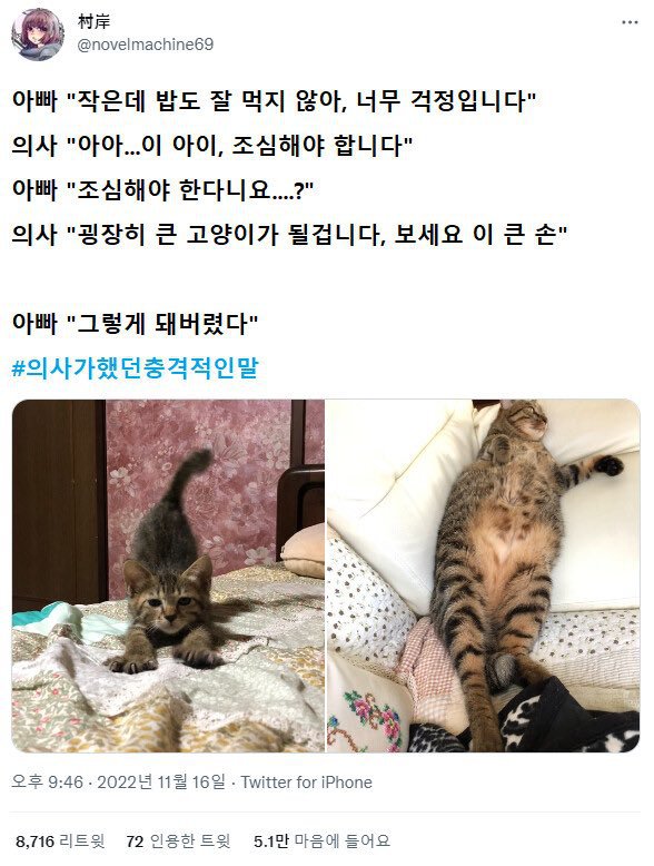 의사가 했던 충격적인 말 (일본 트위터 해석 모음)4