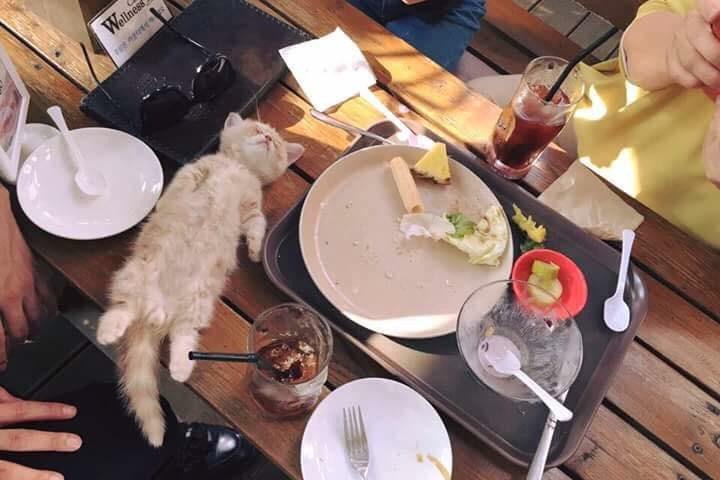 심장이 약하신분 절대로 클릭 금지!1