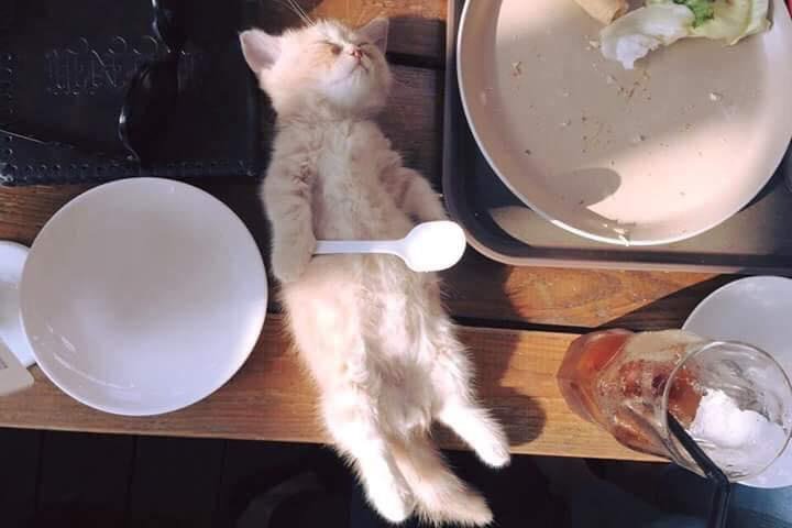 심장이 약하신분 절대로 클릭 금지!2